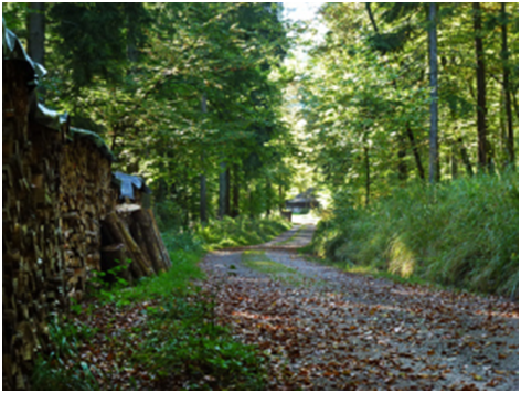 Siegerländer Hauberg als UNESCO Weltkulturerbe Siegerländer Hauberg als UNESCO Weltkulturerbe
